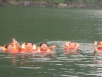 image013