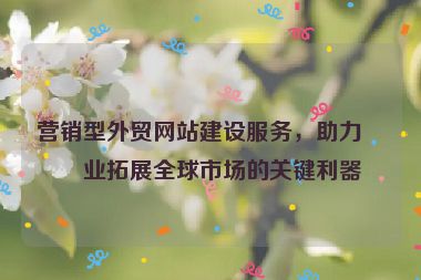 營(yíng)銷型外貿(mào)網(wǎng)站建設(shè)服務(wù)，助力企業(yè)拓展全球市場(chǎng)的關(guān)鍵利器