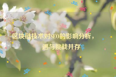 區(qū)塊鏈技術(shù)對SEO的影響分析，機遇與挑戰(zhàn)并存