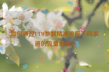 如何通過UTM參數(shù)精準追蹤不同渠道的流量質(zhì)量？