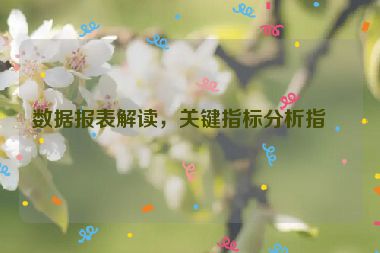 數(shù)據(jù)報(bào)表解讀，關(guān)鍵指標(biāo)分析指南