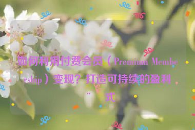 如何利用付費(fèi)會員（Premium Membership）變現(xiàn)？打造可持續(xù)的盈利模式