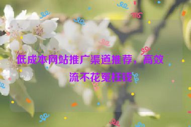 低成本網站推廣渠道推薦，高效引流不花冤枉錢