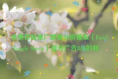 免費百度推廣數(shù)據(jù)分析模板（Excel/Google Sheets）提升廣告ROI的利器