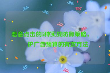 惡意點(diǎn)擊的5種實(shí)戰(zhàn)防御策略，保護(hù)廣告預(yù)算的有效方法