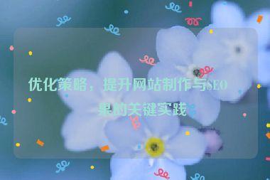 優(yōu)化策略，提升網(wǎng)站制作與SEO效果的關(guān)鍵實(shí)踐