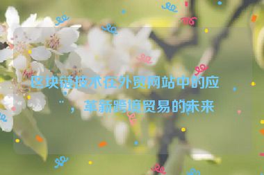 區(qū)塊鏈技術(shù)在外貿(mào)網(wǎng)站中的應(yīng)用，革新跨境貿(mào)易的未來(lái)