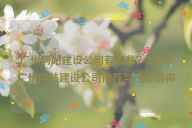 廣州網(wǎng)站建設(shè)公司有哪些？2023年廣州網(wǎng)站建設(shè)公司推薦與選擇指南