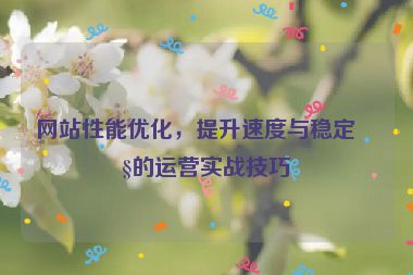 網(wǎng)站性能優(yōu)化，提升速度與穩(wěn)定性的運(yùn)營實(shí)戰(zhàn)技巧