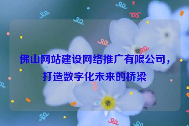 佛山網(wǎng)站建設(shè)網(wǎng)絡(luò)推廣有限公司，打造數(shù)字化未來的橋梁