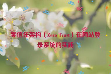 零信任架構(gòu)（Zero Trust）在網(wǎng)站登錄系統(tǒng)的實(shí)踐
