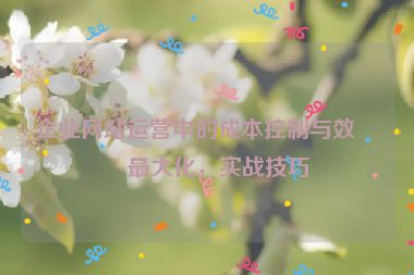 企業(yè)網(wǎng)站運(yùn)營中的成本控制與效益最大化，實(shí)戰(zhàn)技巧