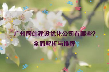 廣州網(wǎng)站建設(shè)優(yōu)化公司有哪些？全面解析與推薦