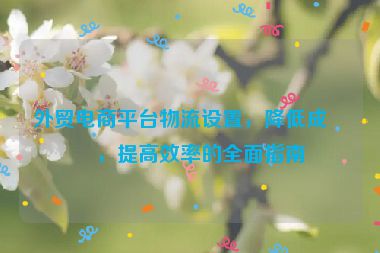 外貿(mào)電商平臺物流設(shè)置，降低成本，提高效率的全面指南