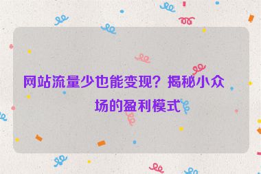 網(wǎng)站流量少也能變現(xiàn)？揭秘小眾市場的盈利模式