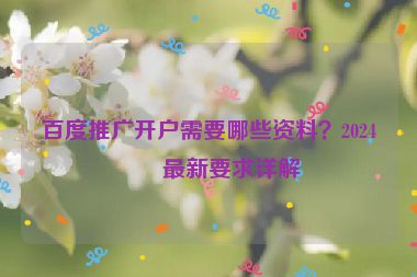 百度推廣開戶需要哪些資料？2024年最新要求詳解