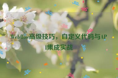 Webflow高級(jí)技巧，自定義代碼與API集成實(shí)戰(zhàn)