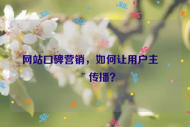 網(wǎng)站口碑營銷，如何讓用戶主動傳播？