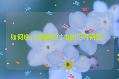 如何應(yīng)對(duì)國(guó)際支付中的拒付問(wèn)題？