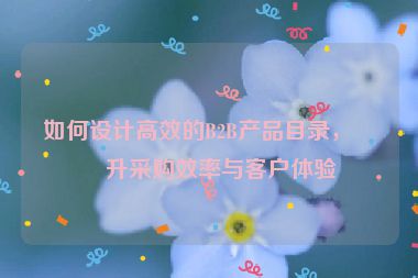 如何設(shè)計高效的B2B產(chǎn)品目錄，提升采購效率與客戶體驗