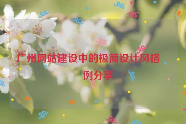 廣州網(wǎng)站建設(shè)中的極簡設(shè)計風格案例分享