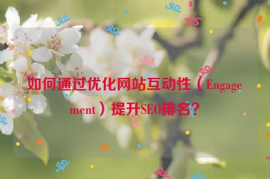 如何通過(guò)優(yōu)化網(wǎng)站互動(dòng)性（Engagement）提升SEO排名？