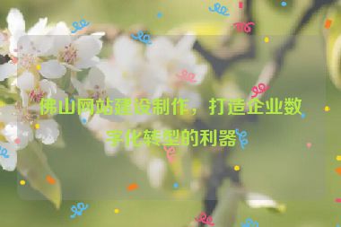 佛山網(wǎng)站建設(shè)制作，打造企業(yè)數(shù)字化轉(zhuǎn)型的利器