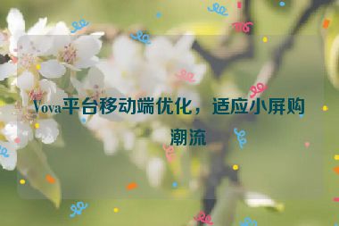 Vova平臺移動端優(yōu)化，適應(yīng)小屏購物潮流