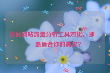 競品網站流量分析工具對比，哪款最適合你的需求？