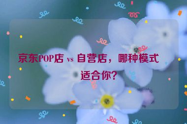 京東POP店 vs 自營店，哪種模式更適合你？
