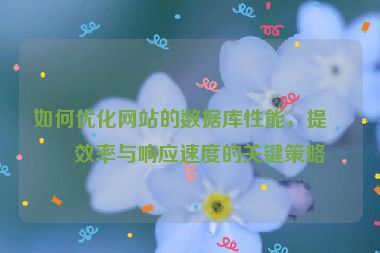 如何優(yōu)化網(wǎng)站的數(shù)據(jù)庫(kù)性能，提升效率與響應(yīng)速度的關(guān)鍵策略