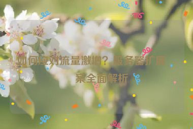 如何應(yīng)對(duì)流量激增？服務(wù)器擴(kuò)展方案全面解析