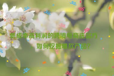 低成本高利潤的跨境電商選品方法，如何挖掘爆款產品？
