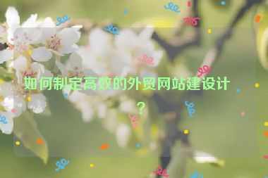 如何制定高效的外貿(mào)網(wǎng)站建設(shè)計(jì)劃？