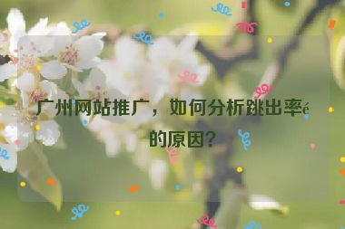 廣州網(wǎng)站推廣，如何分析跳出率高的原因？