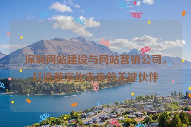 深圳網(wǎng)站建設(shè)與網(wǎng)站營(yíng)銷(xiāo)公司，打造數(shù)字化未來(lái)的關(guān)鍵伙伴