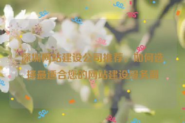 深圳網(wǎng)站建設(shè)公司推薦，如何選擇最適合您的網(wǎng)站建設(shè)服務(wù)商