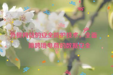 外貿(mào)網(wǎng)站的安全防護技術(shù)，全面保障跨境電商的數(shù)據(jù)安全