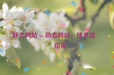 靜態(tài)網(wǎng)站 vs 動態(tài)網(wǎng)站，技術(shù)選型指南