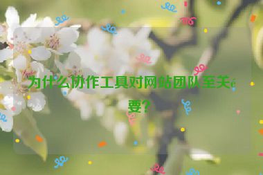 為什么協(xié)作工具對網(wǎng)站團(tuán)隊(duì)至關(guān)重要？