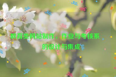 教育類網(wǎng)站制作，作業(yè)與考核系統(tǒng)的設(shè)計(jì)與集成