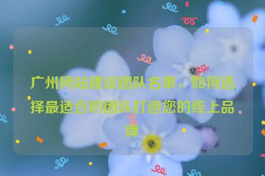廣州網(wǎng)站建設團隊名單，如何選擇最適合的團隊打造您的線上品牌
