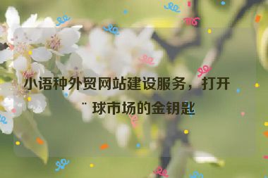 小語種外貿網站建設服務，打開全球市場的金鑰匙