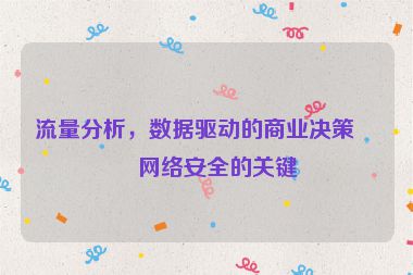 流量分析，數(shù)據(jù)驅(qū)動(dòng)的商業(yè)決策與網(wǎng)絡(luò)安全的關(guān)鍵