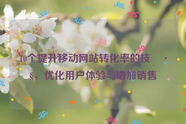 10個(gè)提升移動(dòng)網(wǎng)站轉(zhuǎn)化率的技巧，優(yōu)化用戶體驗(yàn)與增加銷售