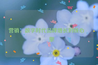 營(yíng)銷(xiāo)，數(shù)字時(shí)代品牌增長(zhǎng)的核心引擎