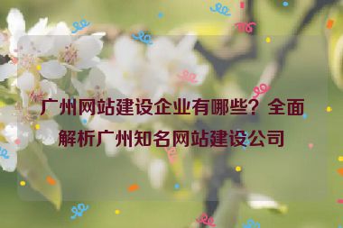 廣州網(wǎng)站建設(shè)企業(yè)有哪些？全面解析廣州知名網(wǎng)站建設(shè)公司