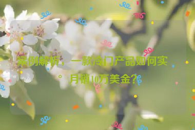 案例解析，一款冷門產(chǎn)品如何實現(xiàn)月銷10萬美金？