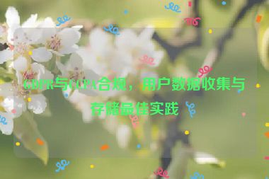 GDPR與CCPA合規(guī)，用戶數(shù)據(jù)收集與存儲(chǔ)最佳實(shí)踐
