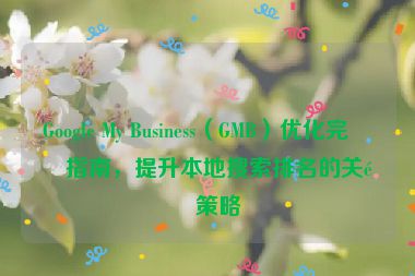 Google My Business（GMB）優(yōu)化完整指南，提升本地搜索排名的關(guān)鍵策略